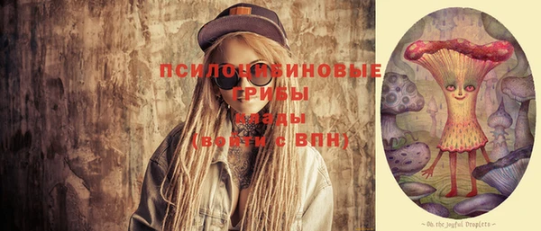 ПСИЛОЦИБИНОВЫЕ ГРИБЫ Балахна