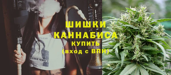 ПСИЛОЦИБИНОВЫЕ ГРИБЫ Балахна