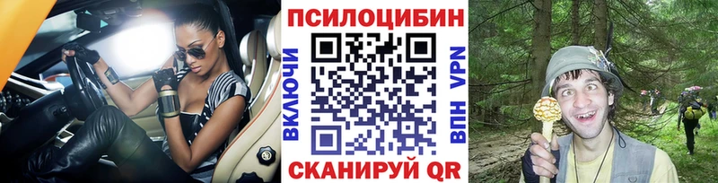 цена наркотик  Красный Холм  kraken ONION  Псилоцибиновые грибы мицелий 
